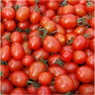 영월 대추방울토마토 3kg, 5kg