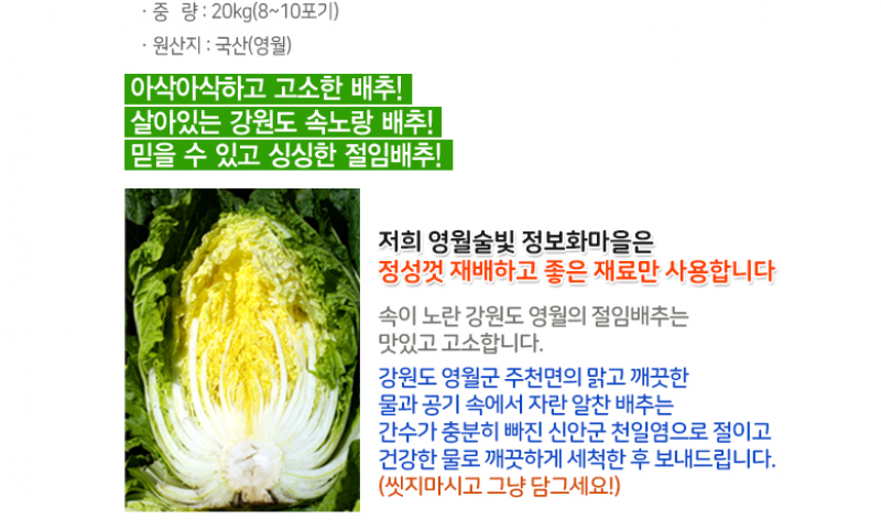 술빛고을,강원도 영월 고랭지 절임배추 20kg (일반,하이베타 선택)