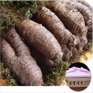영월 동강더덕 선물용 (금보자기포장) 소/중급 1.2kg